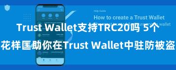 Trust Wallet支持TRC20吗 5个花样匡助你在Trust Wallet中驻防被盗