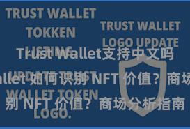 Trust Wallet支持中文吗 Trust Wallet 如何识别 NFT 价值？商场分析指南